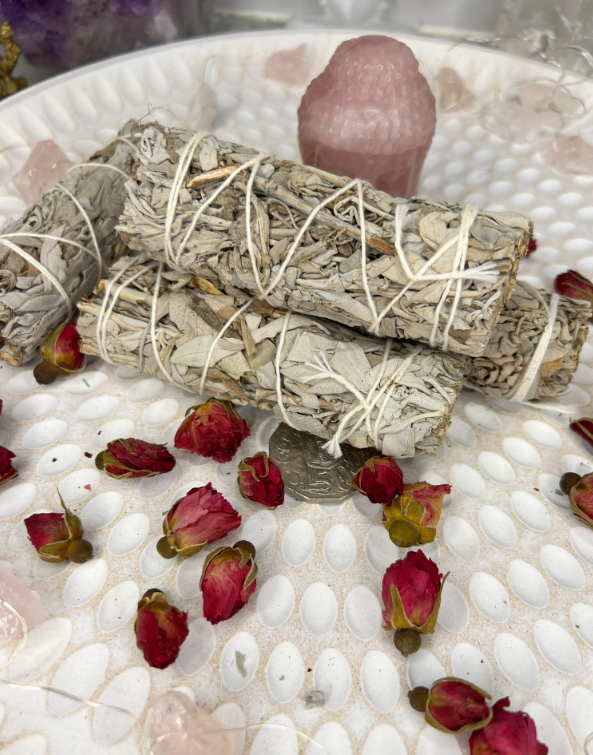 Біла шавлія